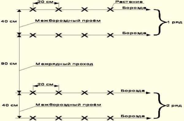 Схема посадки 