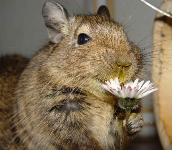 Обеспечение подходящей температуры