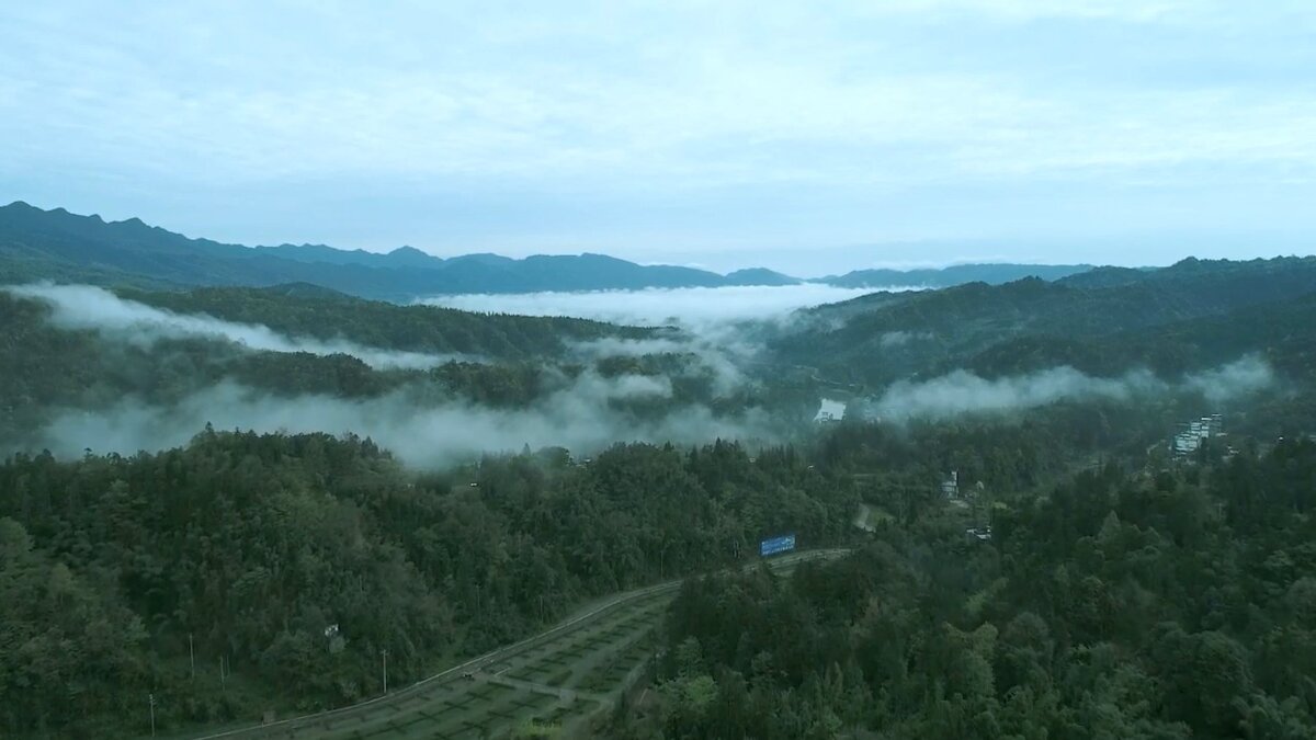 Где живут панды