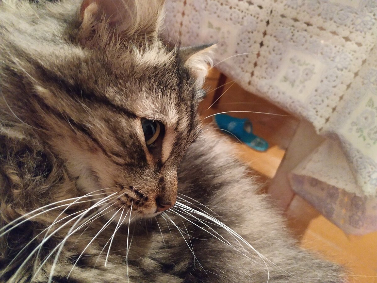 Фото из личного архива автора.