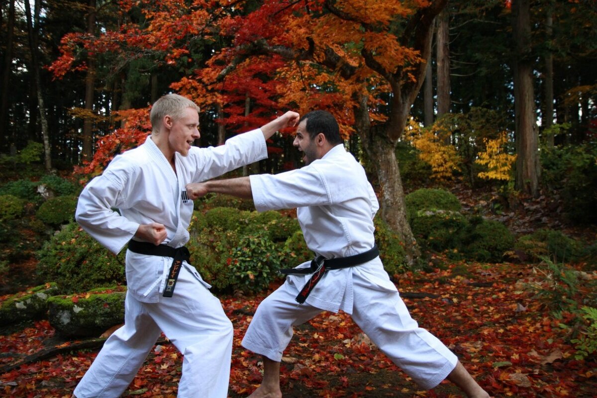 Частный урок каратэ. Боевые искусства. Восточные единоборства. Боевые искусства карате. Каратэ Япония.