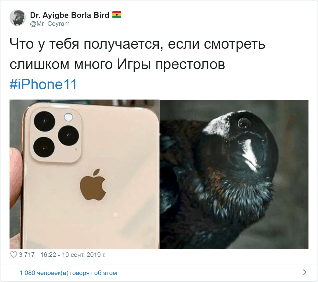 Apple показала iPhone c тройной камерой. Трипофобы в шоке, а в сети её  сравнивают с кокосом и плитой | Денис Скроботов | Дзен