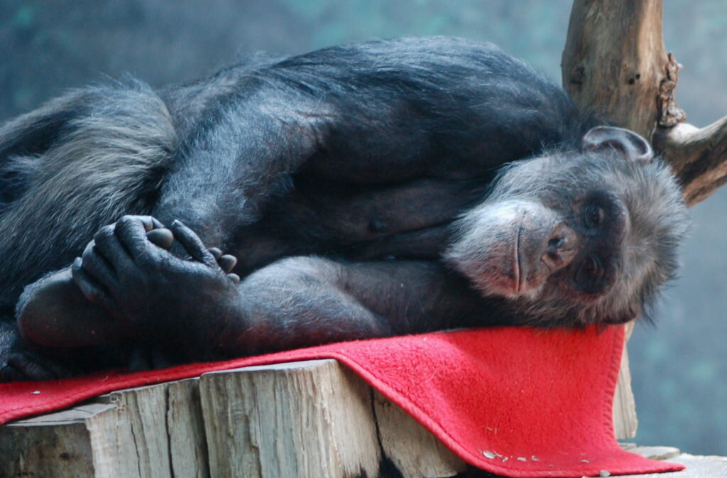 Фото: Ann Althouse/Flickr