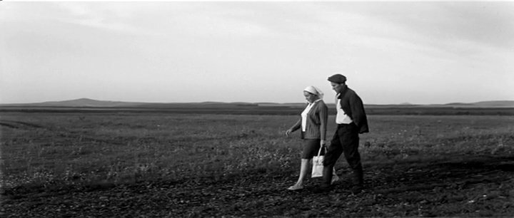 Окрестности деревни Шульгин Лог, кадр из фильма «Печки-лавочки», 1972 год