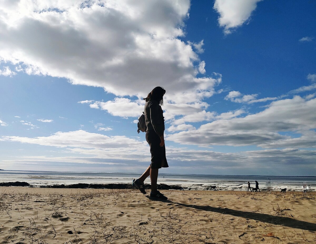 Слушать цикл тернистый путь. Дем михайлов герои озерного края. Тернистый путь картинки. Один путь. Дем михайлов мир вальдиры тернистый путь вниз.