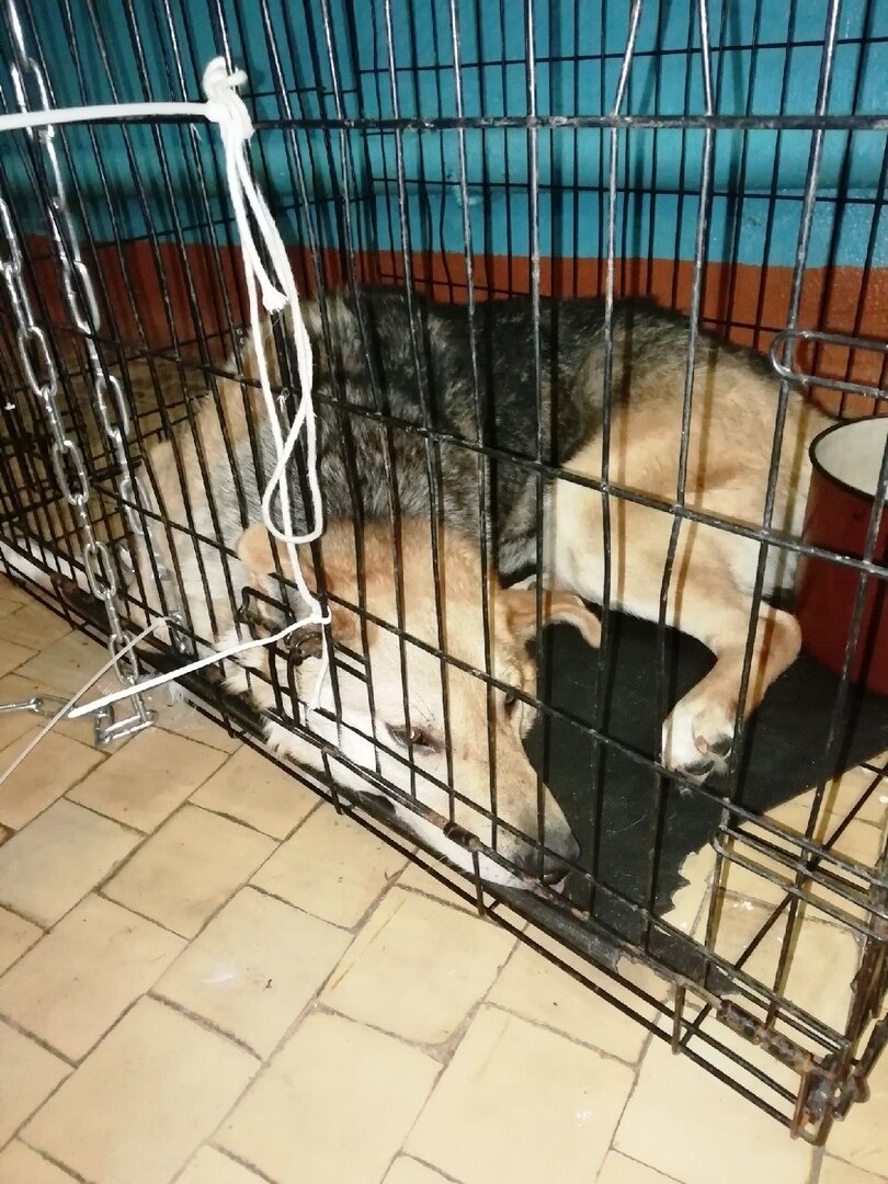 На переговоры ни с кем не шел