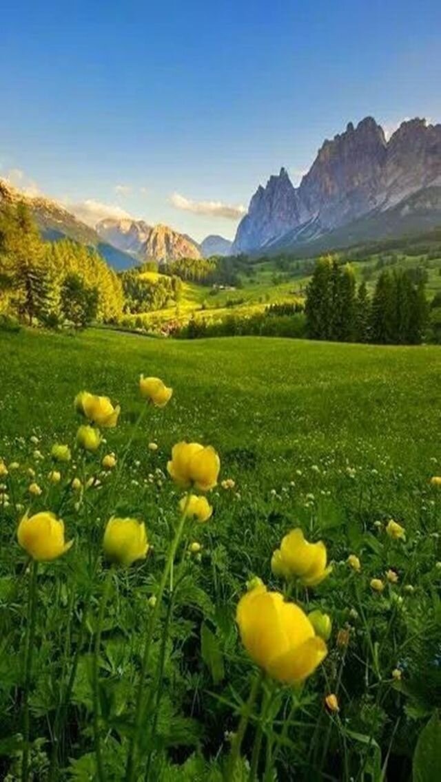 Взято из источника Яндекс.