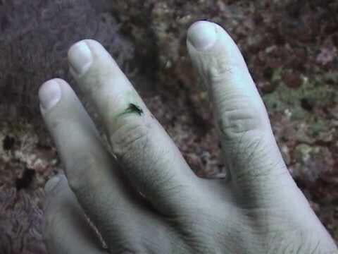 Источник: www.youtube.com