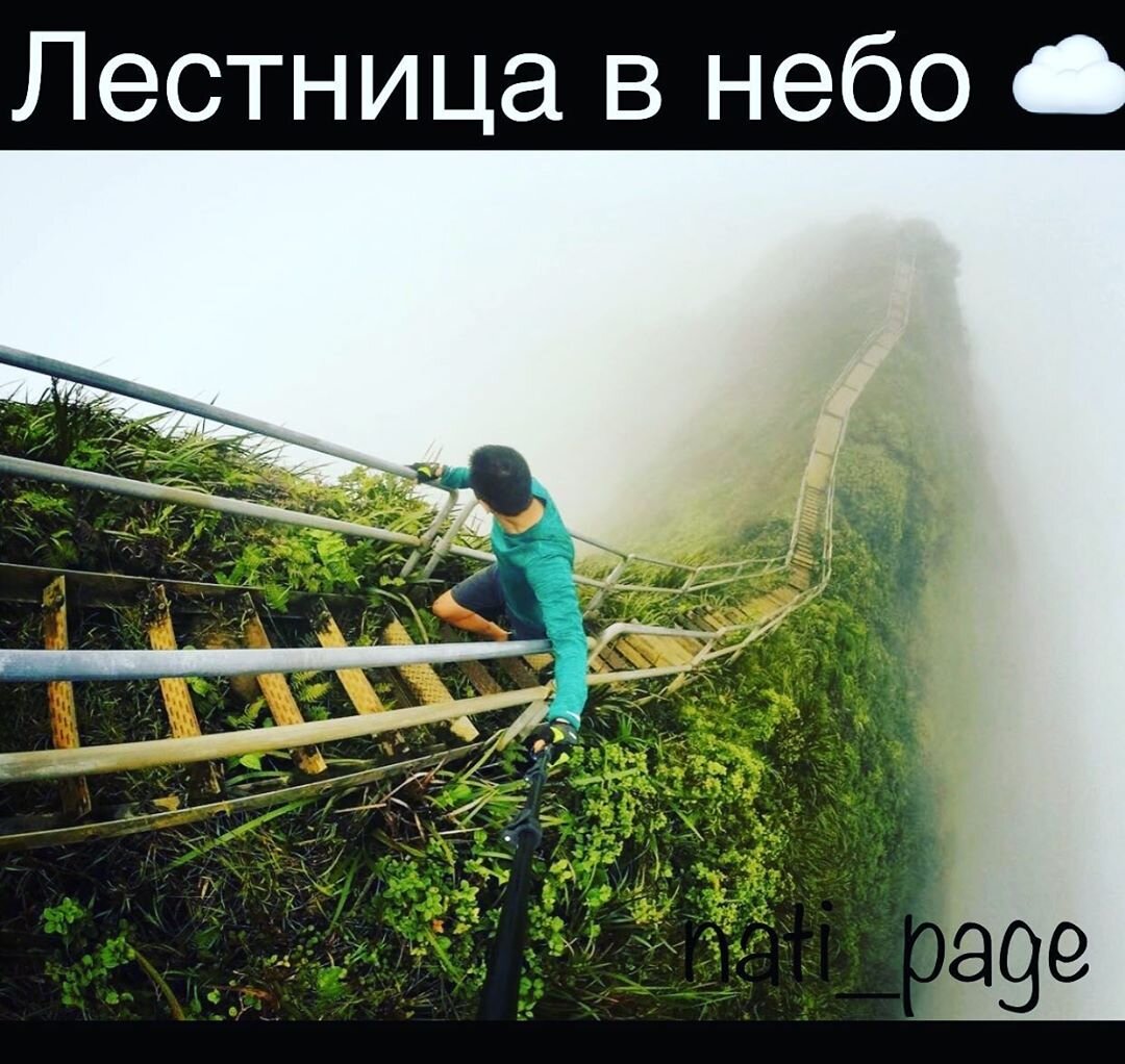 Тропа Хайку на острове Оаху или Лестница в небо – один из самых красивых и экстремальных туристических маршрутов на Гавайях. Лестница, состоящая из почти четырех тысяч ступенек, ведет на вершину утеса Кулау высотой 850 метров. Подъем настолько крут, что удержать равновесие во время головокружительного восхождения под силу разве что опытным скалолазам. Лестница была построена в 1942 году для нужд военных. По ней командиры добирались до расположенных на вершине холма антенн. Они передавали сигналы подводным лодкам военно-морских сил США на большие расстояния – вплоть до Токийского залива у берегов Японии. В 1987 году потребность в радиовышке исчезла – и лестница превратилась в культовый пешеходный маршрут, покорить который было под силу путешественникам в отличной физической форме.
В 2003 году тропа Хайку была полностью реконструирована ради безопасности туристов, которые все же хотят прогуляться по экстремальному маршруту. Ремонт с заменой всех ступеней и перил обошелся в 875 тысяч долларов. С тех пор лестница периодически то открыта, то закрыта для доступа туристов. Власти острова Оаху по-прежнему считают этот "вертикальный" маршрут слишком опасным как для путешественников, так и для местных жителей – и проход по нему временно запрещен.