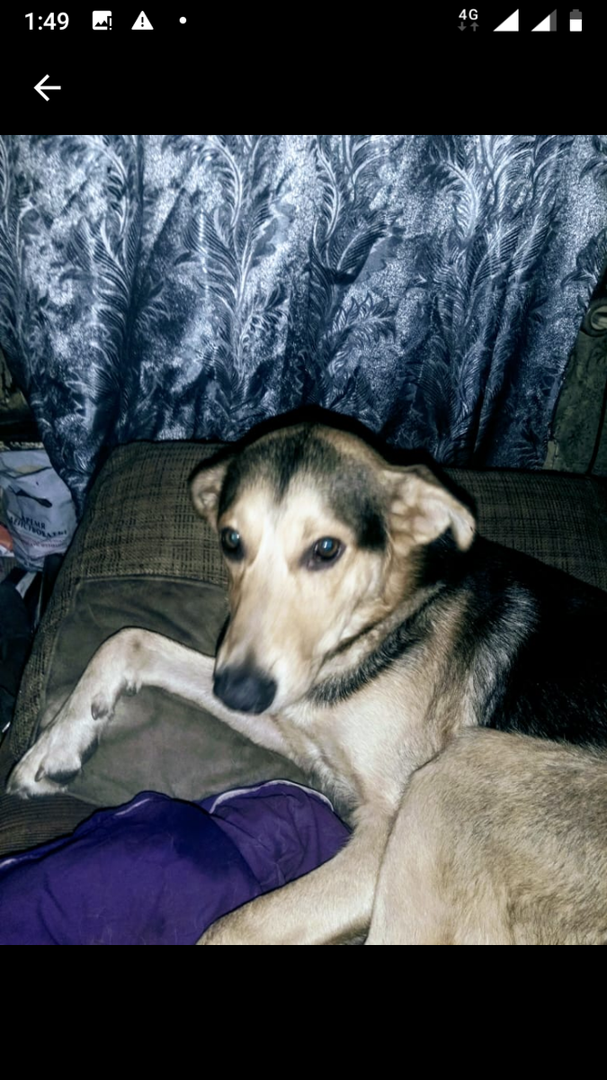 Вот это Сеня, который первые два дня дома был Арсом. Здесь ему полтора года.