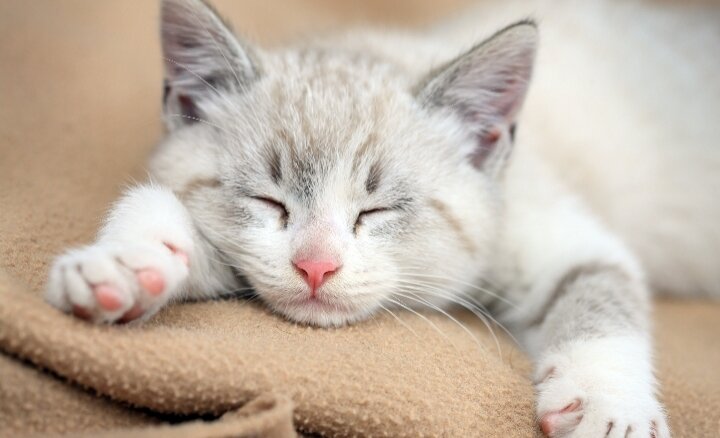 Это кстати  я сплю :)