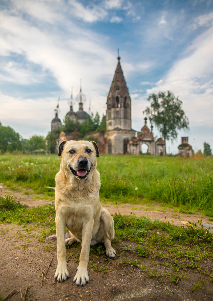 Село остров Ярославская область