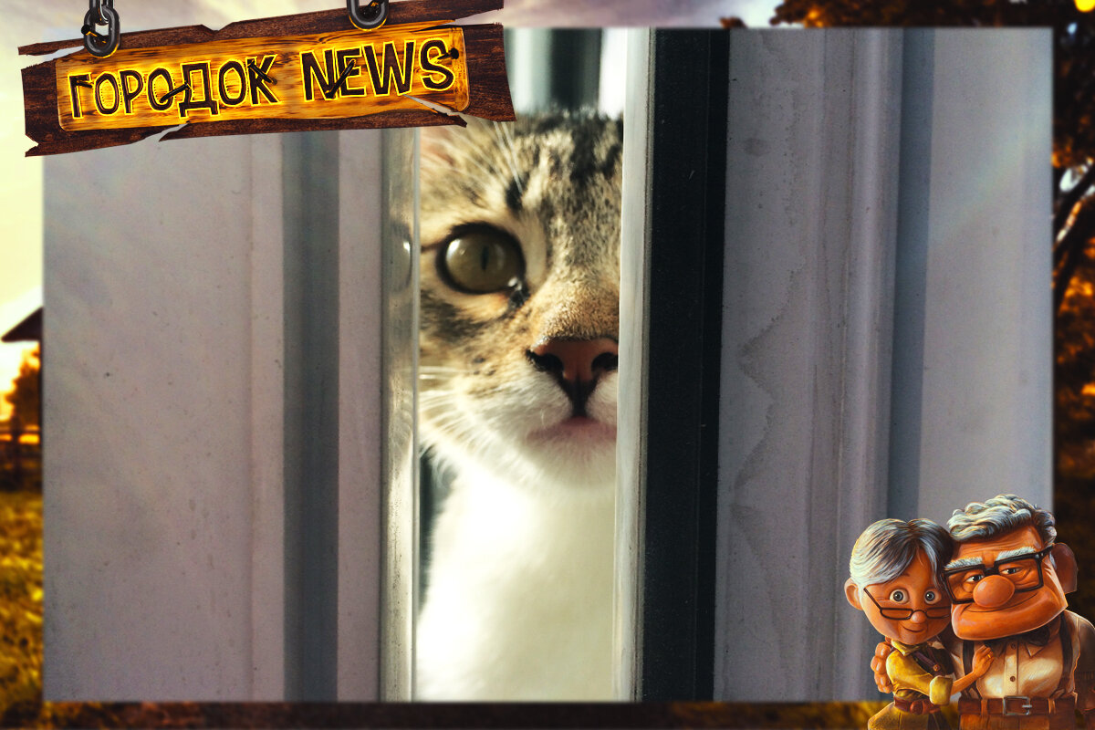 Источник Google картинки