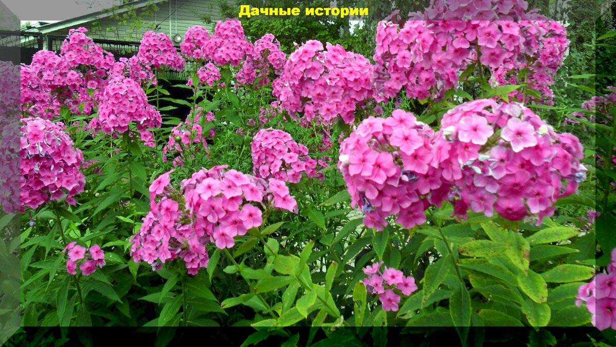 https://vk.com/photo-159774511_457248669