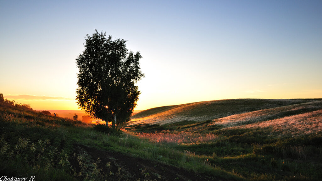 Вот и закончились огороды и пошел ковыль!