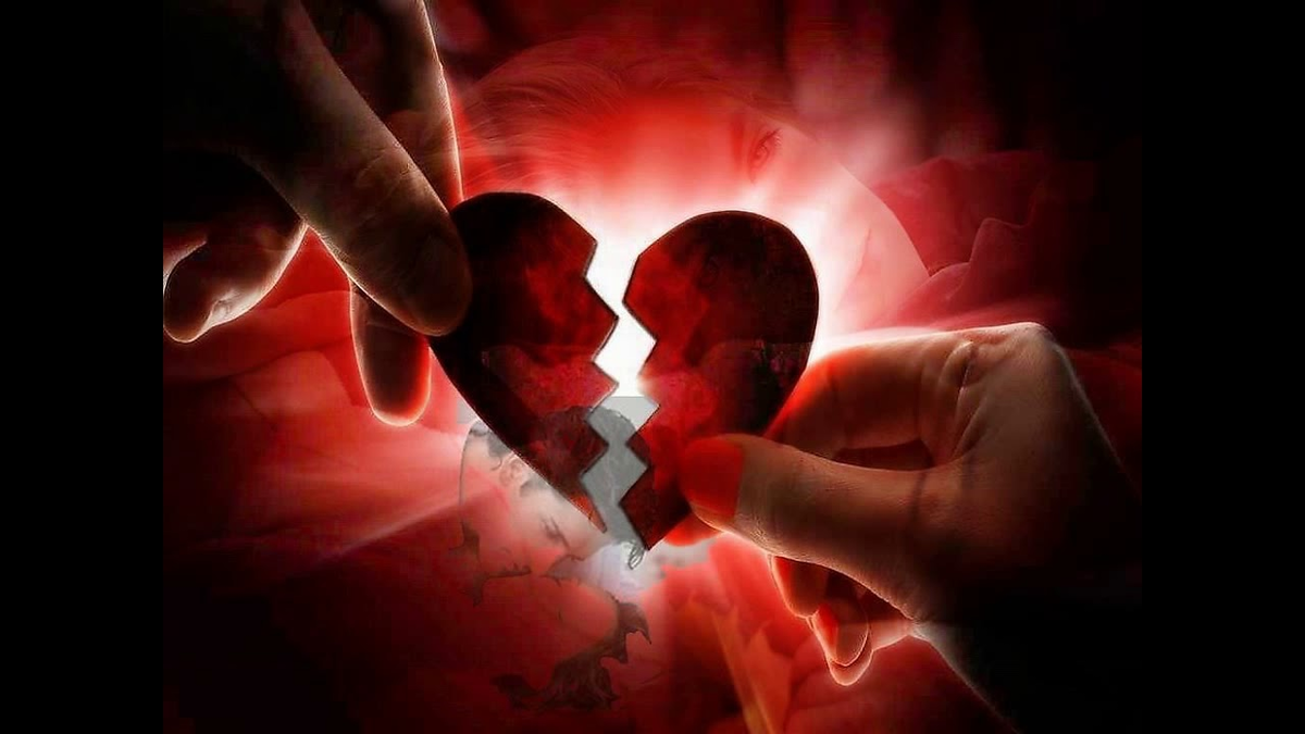 фото из интернета