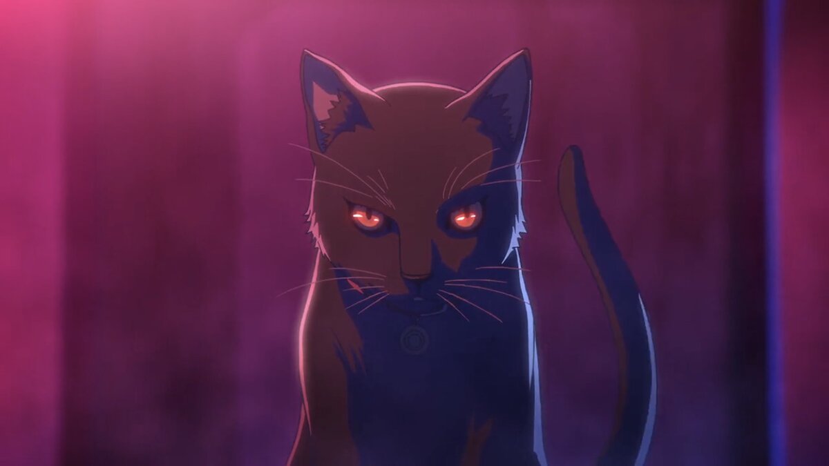Котята аниме: подборка картинок