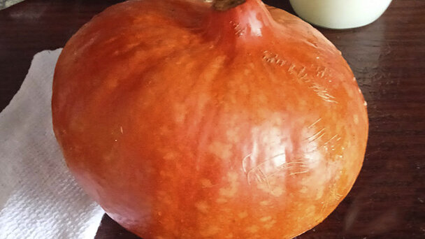 Такая вот красавица тыква