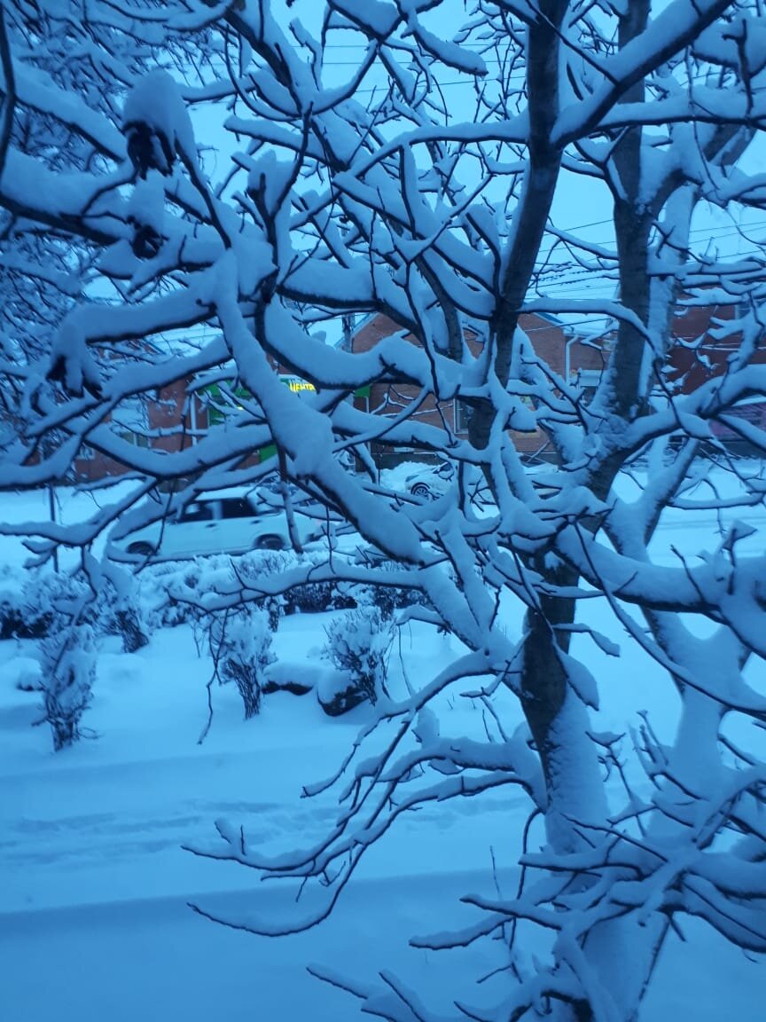 Снег выпал ночью