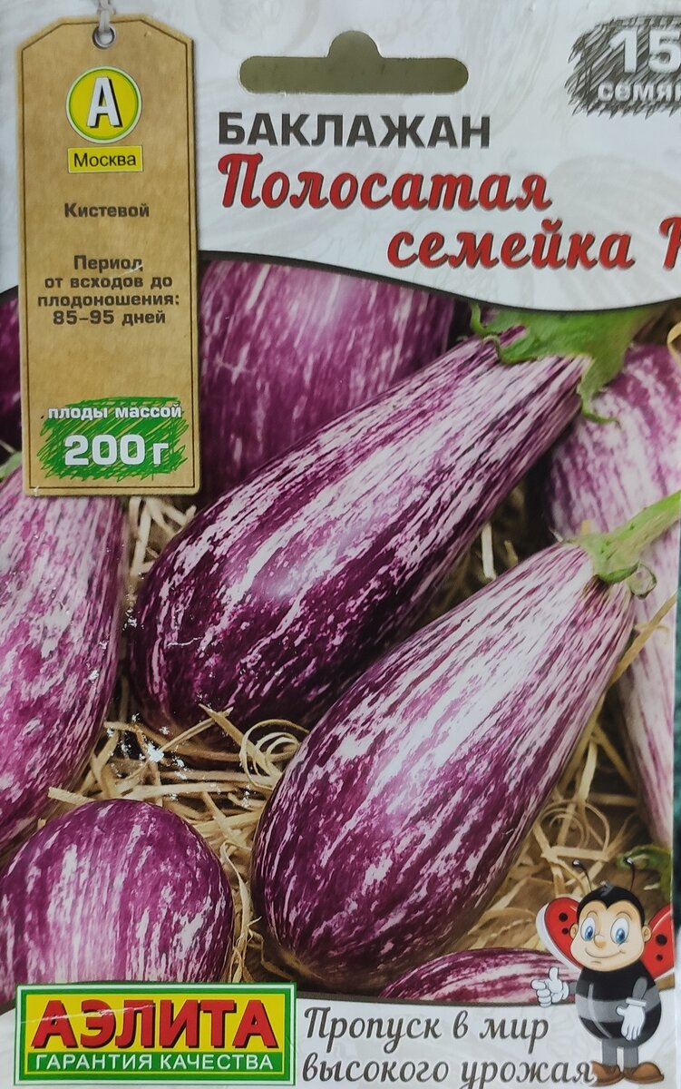 #баклажан#баклажандлятеплицы