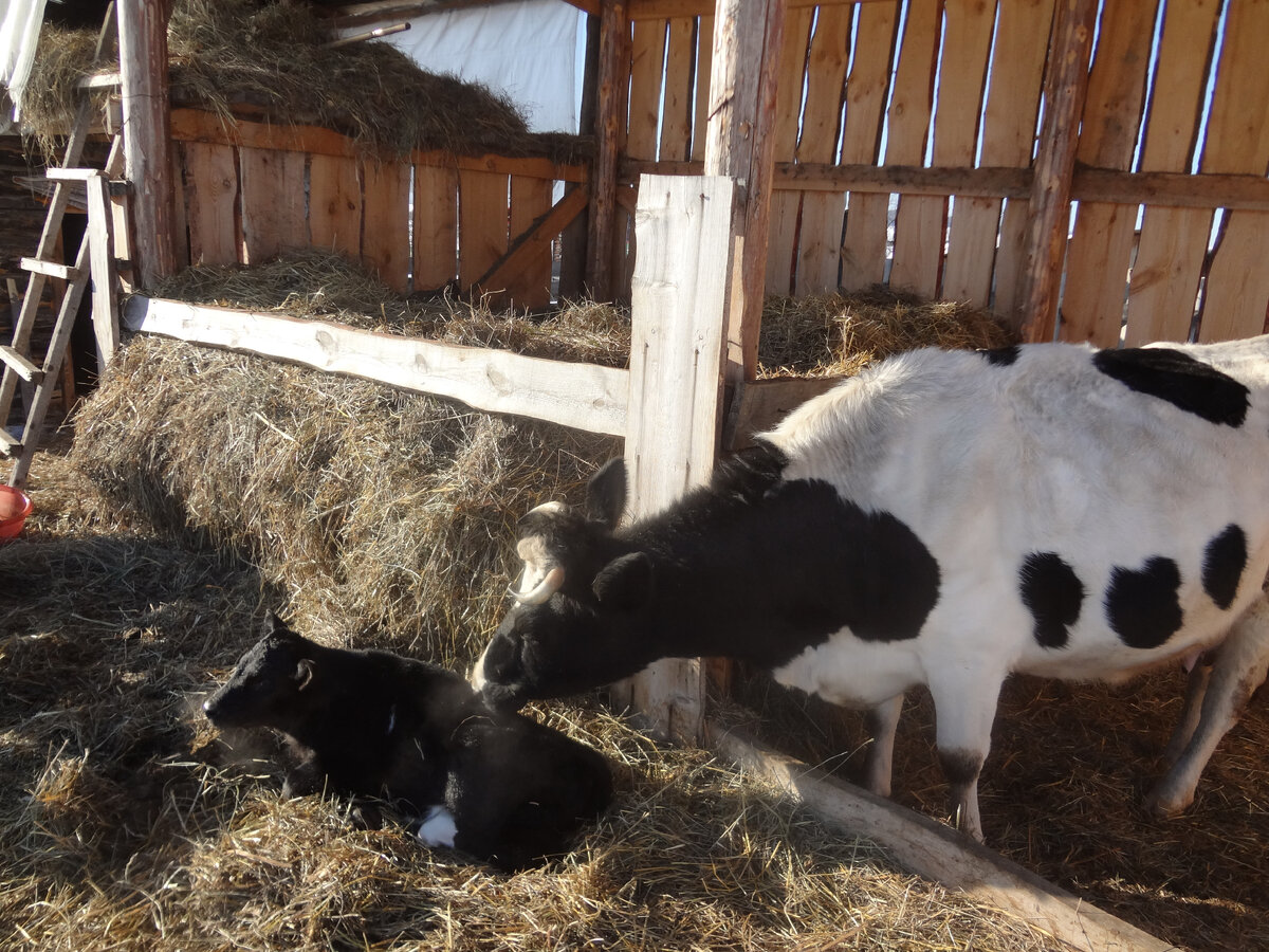 Добились своего