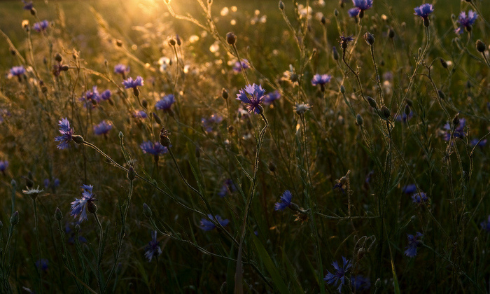 (из открытого источника)