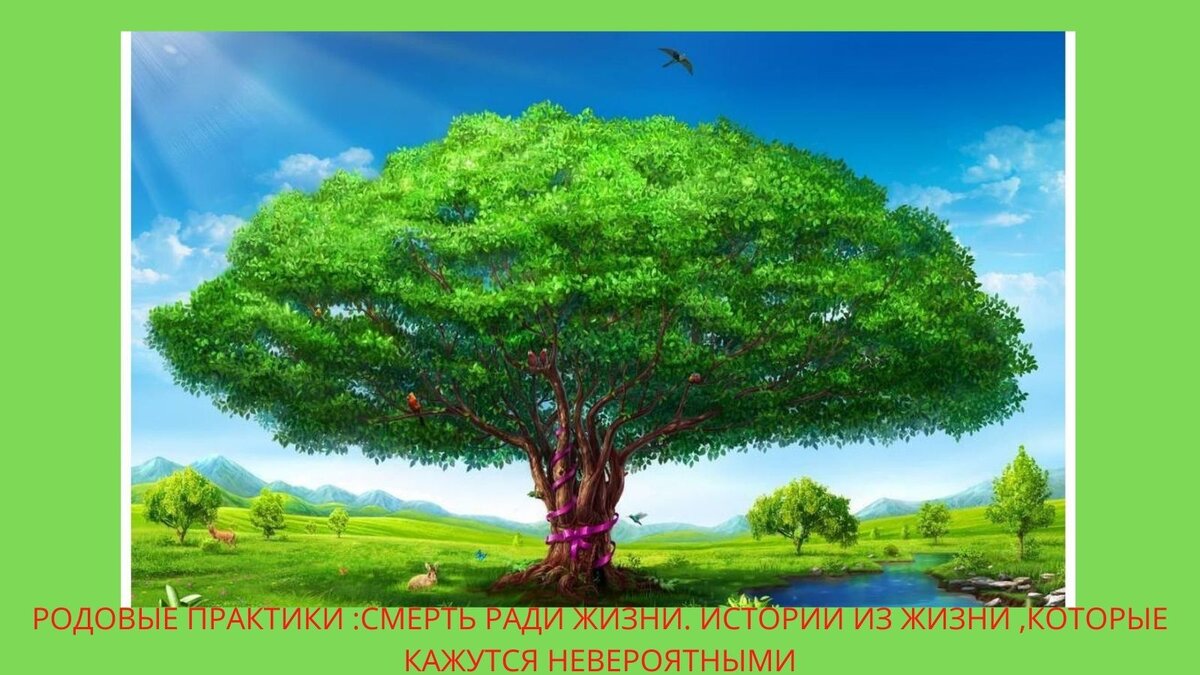 Картинка к новой рубрики "НЕВЕРОЯТНЫЕ ИСТОРИИ ИЗ ЖИЗНИ".