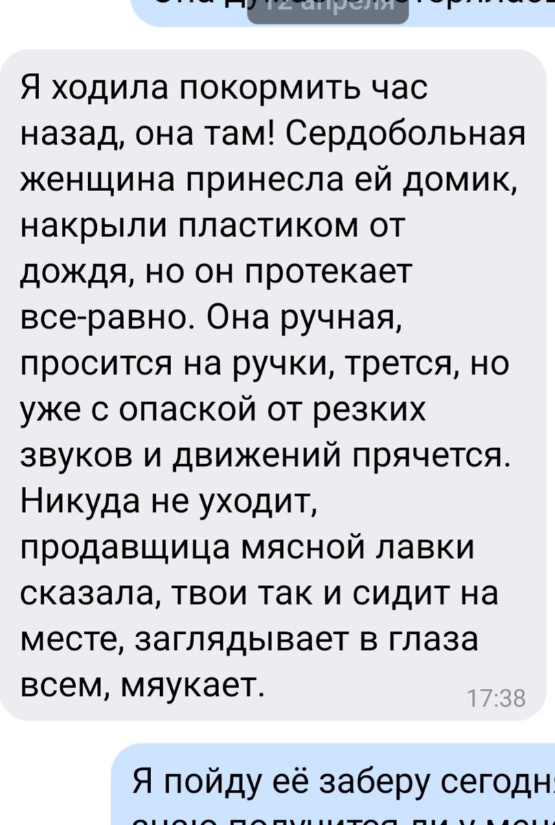 Сначала думали, что это кошечка)