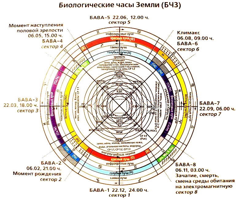 "Как утверждает ряд авторов (Ролье, Ревиллет, Беринг, Маркес, Ленкей), освещение тела солнечными лучами вызывает увеличение числа красных кровяных телец, сопровождаемое пропорциональным увеличением...-2