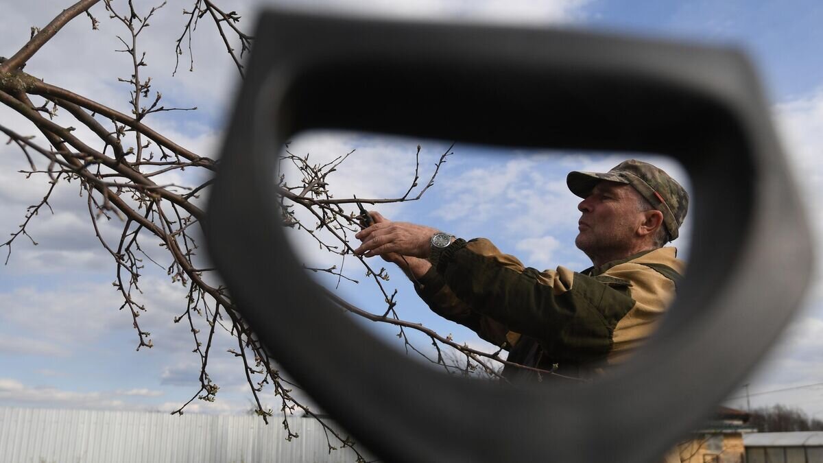    Начало сезона посадочных работ на дачных участках© РИА Новости / Кирилл Каллиников
