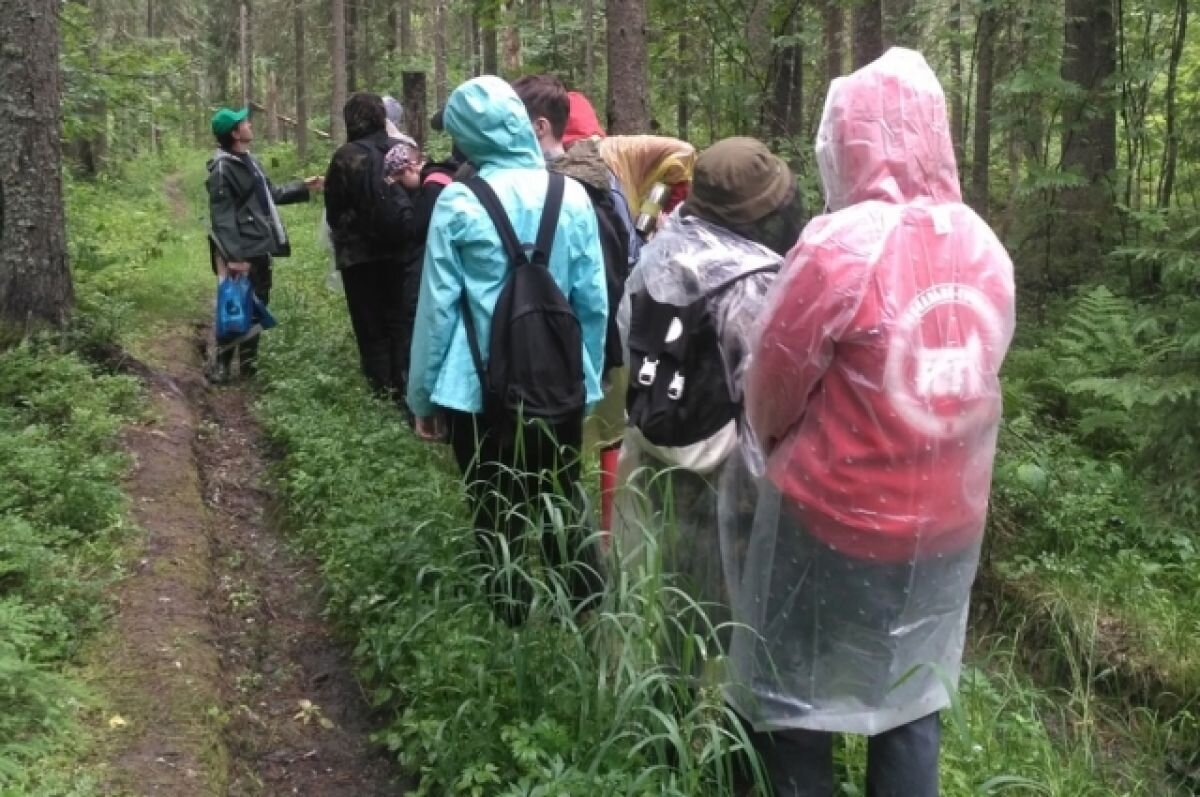    В тверском саду приглашают на бега улиток, а в заповеднике на ужин с мишкой