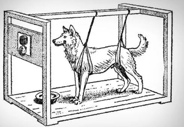 Способ организации очень многих психологических экспериментов