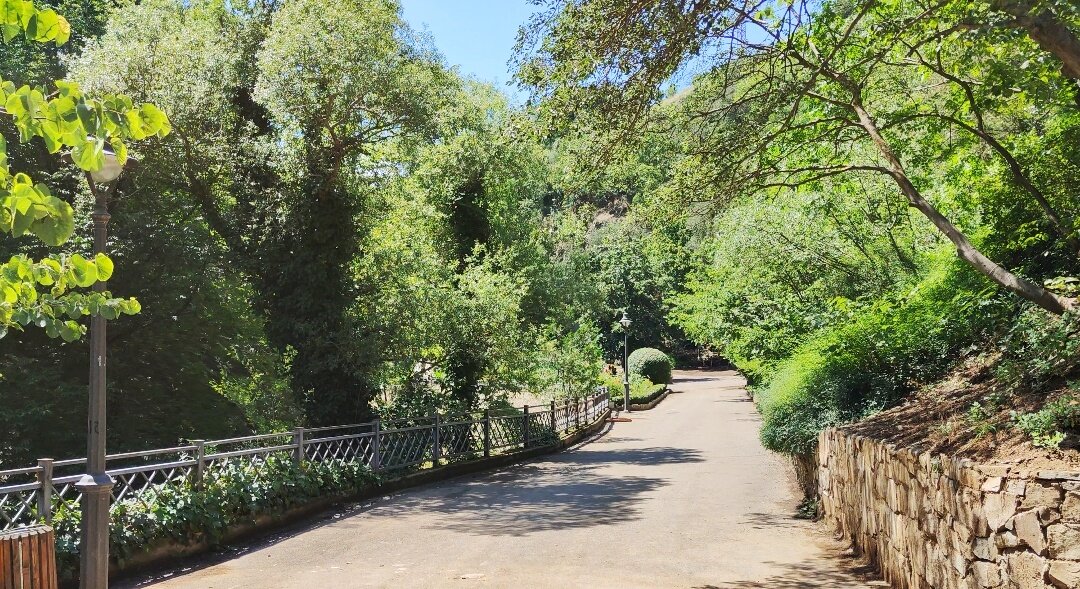 Прогулка по ботаническому саду Тбилиси,Грузия 