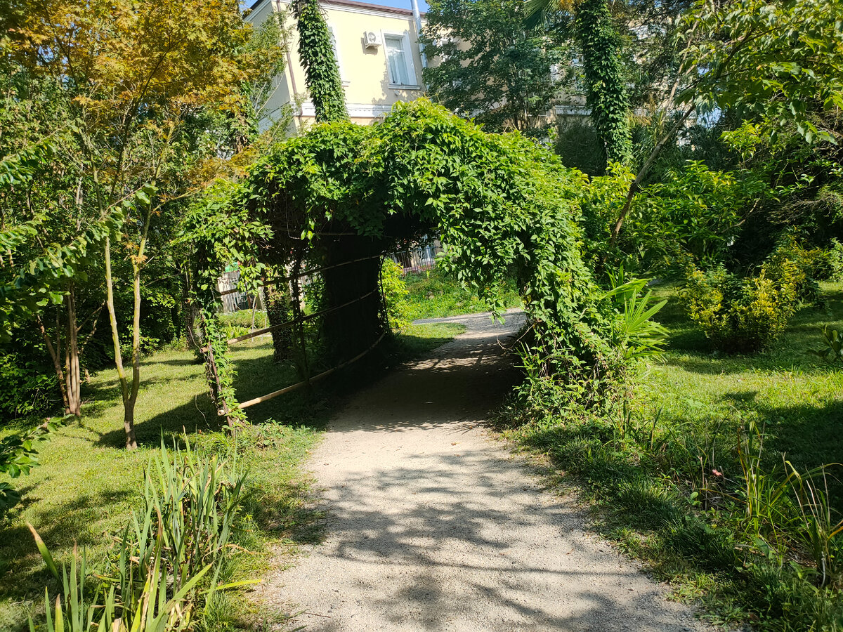 Если оказались в Сухуме, то сходите в ботанический сад, - рекомендовали мне туристы- он самый старый на Кавказе. Вот я отправилась посмотреть, что же там такое особенное есть.-4