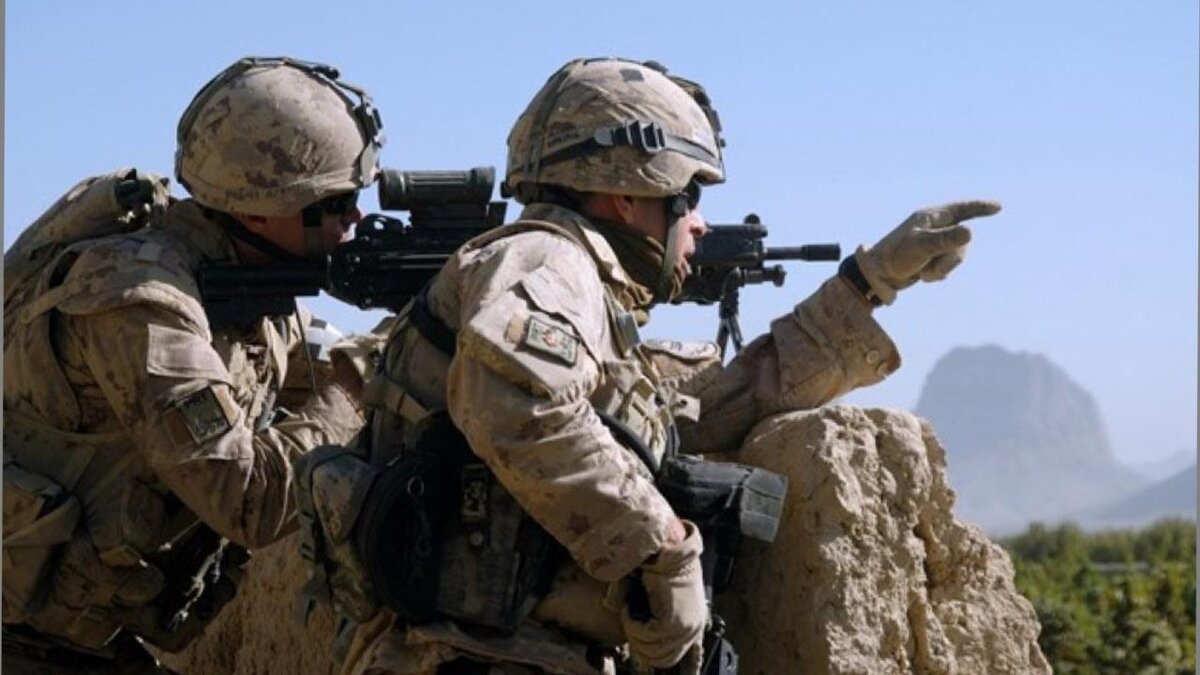     Министр обороны Шойгу объявил о создании Ленинградского и Московского военных округов и усилении группировки войск Вооруженных сил на западной границе. Что это значит и какие задачи у новых округов?