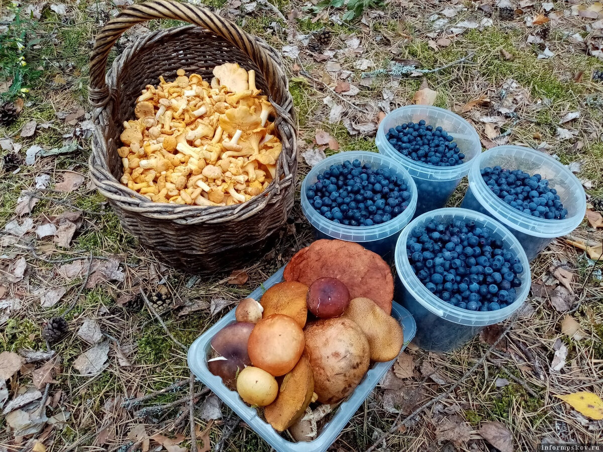 Фото: Татьяна Мочалова