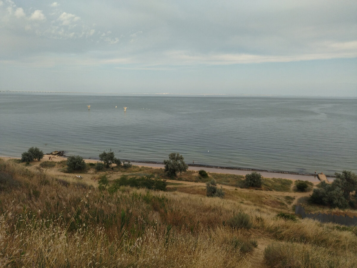 Лохи на берегу моря, фото. 
