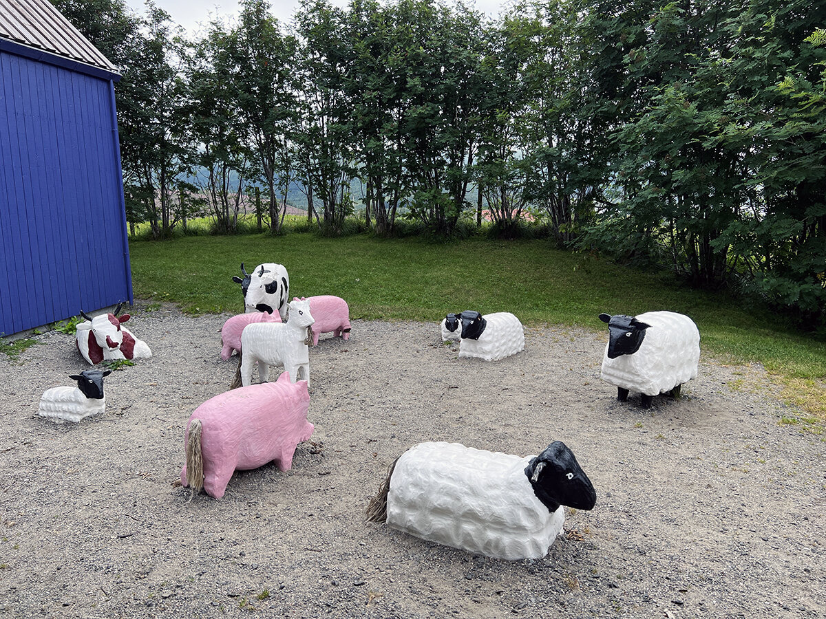 Задний двор музея Викингов. Фото автора. Листайте галерею 