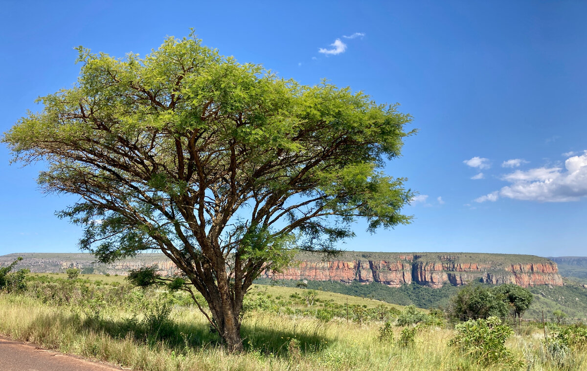 Блайд Ривер каньон.
