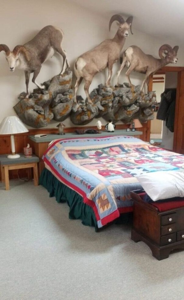 Самые ужасные решения в интерьере – ЧАСТЬ 6 | Шкафулькин | Дзен