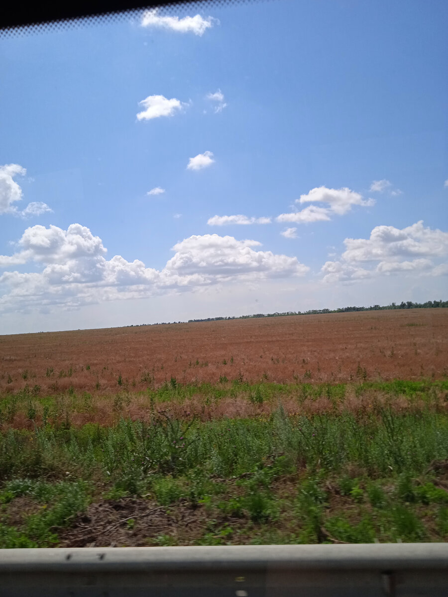 Хлебные (или какие там) поля все аккуратно засеяны