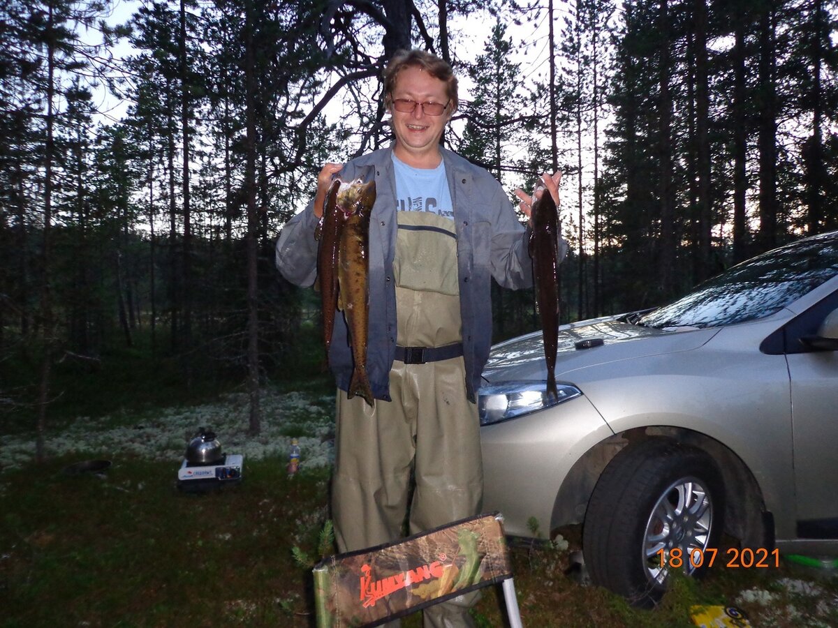 Речное дно. Мор рыбы. Треска морда. Рыба ушла. Куда ушла рыба.