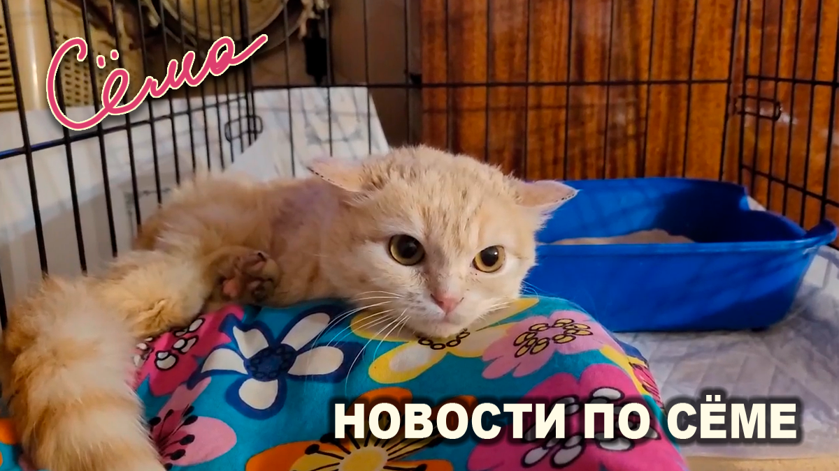 Все фотографии в тексте — автора