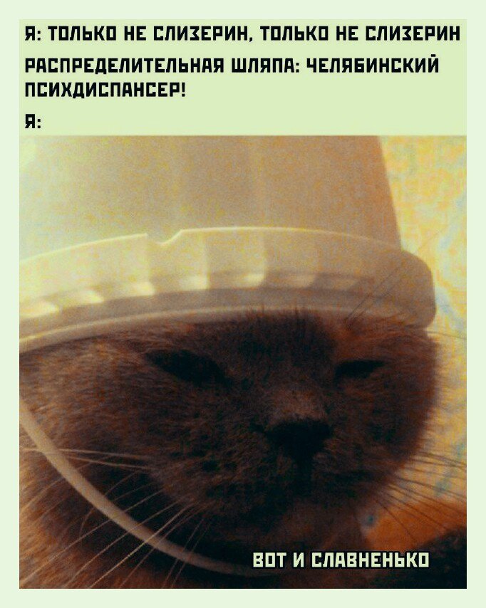 фото из открытых источников интернет