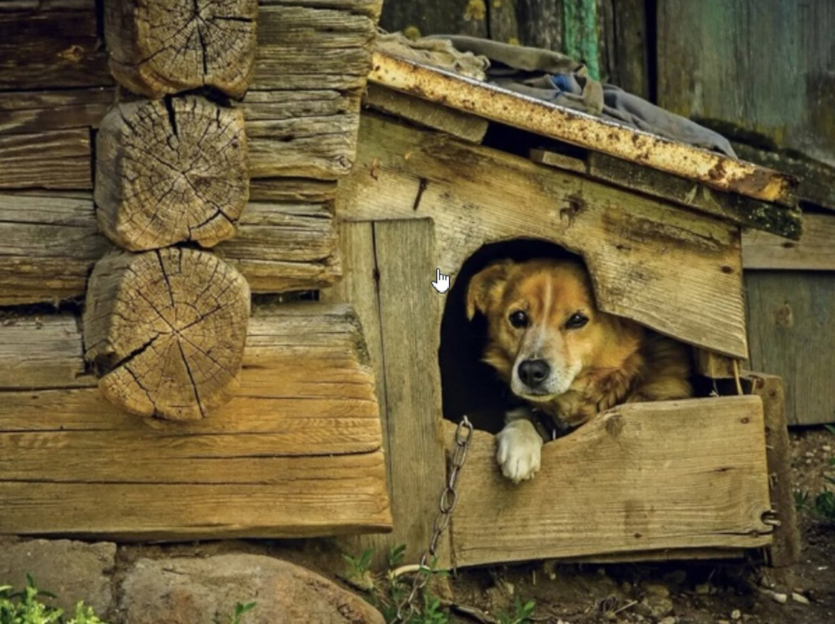 Из открытых источников.