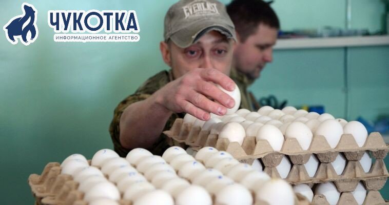 Фото: ИА "Чукотка" 