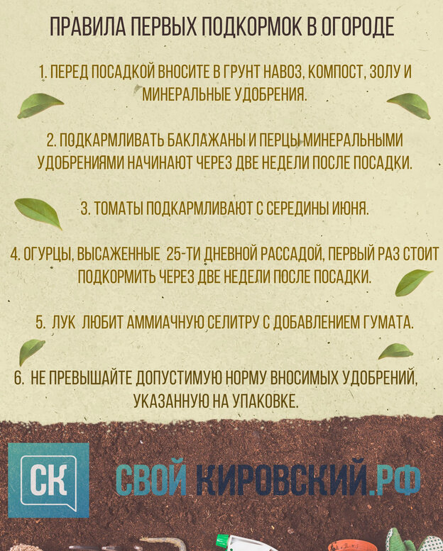    График первых подкормок в огороде: что, как и чем удобрить?