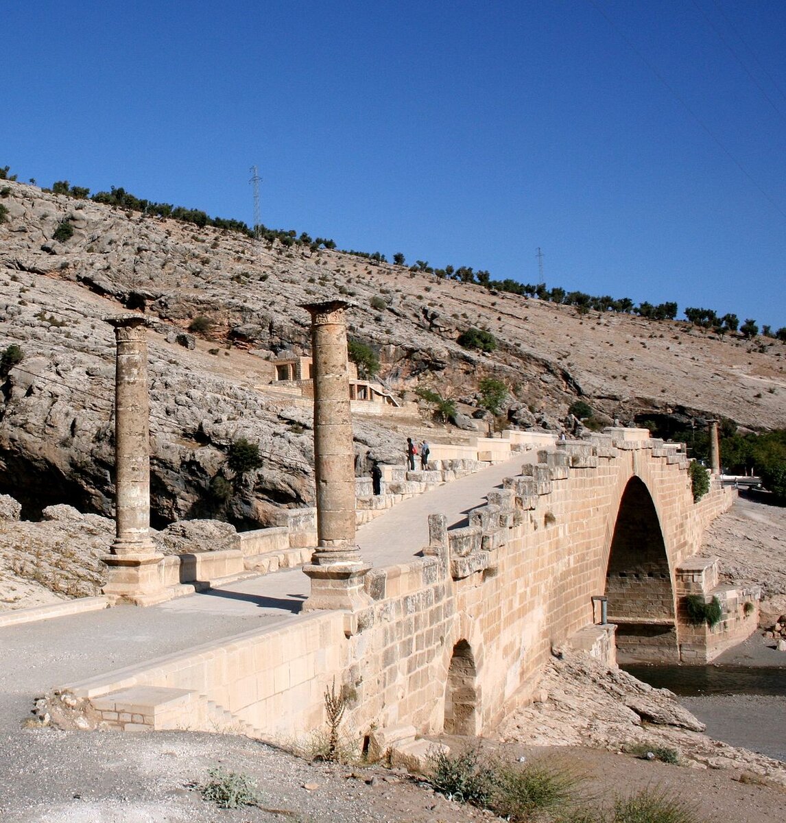 Фото с сайта: https://upload.wikimedia.org