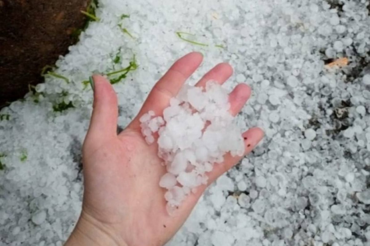    В Белокатайском районе Башкирии крупный град уничтожил посевы в огородах