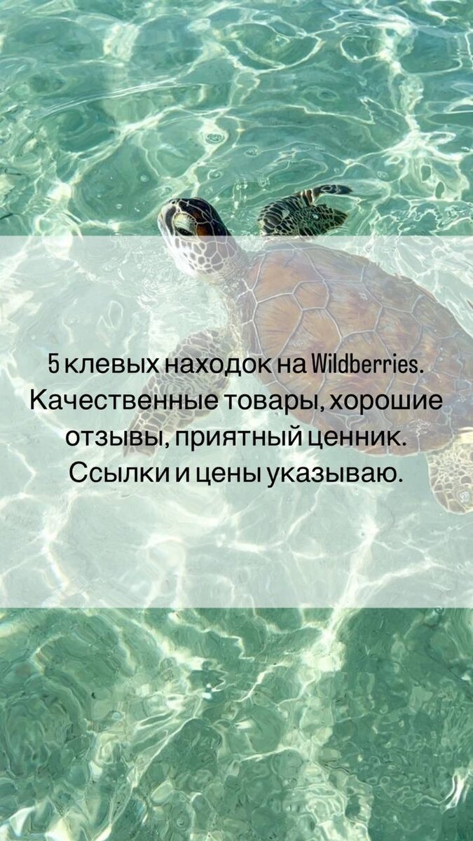 Где взять картинки для создания сайта: обзор 125 бесплатных и 20 платных фотостоков